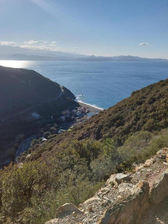 Cap Corse - Grande Maison Au Bord De Mer - Pmr Grillasca ภายนอก รูปภาพ